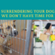 Surrendering Your Dog – We have No Time for It