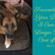 Surrendering Your Dog – You Can No Longer Care For It