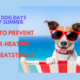 The Dog Days of Summer – Don’t Let Your Dog Over-heat