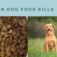 When Dog Food Kills