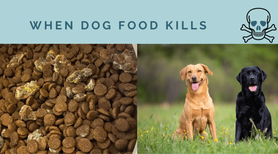 When Dog Food Kills