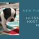 New Puppy? Dog? 10 Must Have Essentials Most Owners Forget