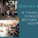 Dogs for Seniors – What to Think About Before You Adopt