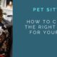 Choosing a Pet Sitter – Questions Owners should Expect to be Asked