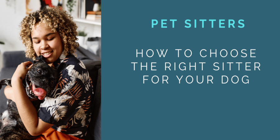 pet sitters, choosing a pet sitter