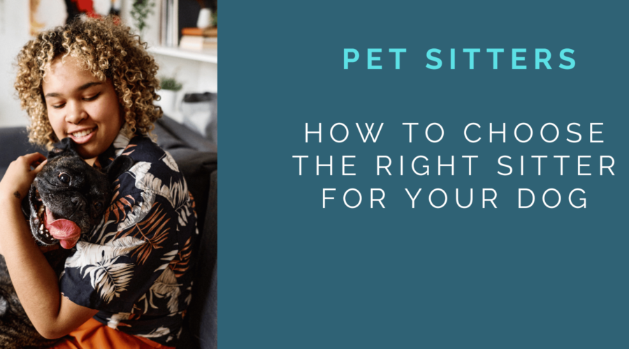 pet sitters, choosing a pet sitter