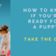 How to Know if You’re Ready for a Puppy