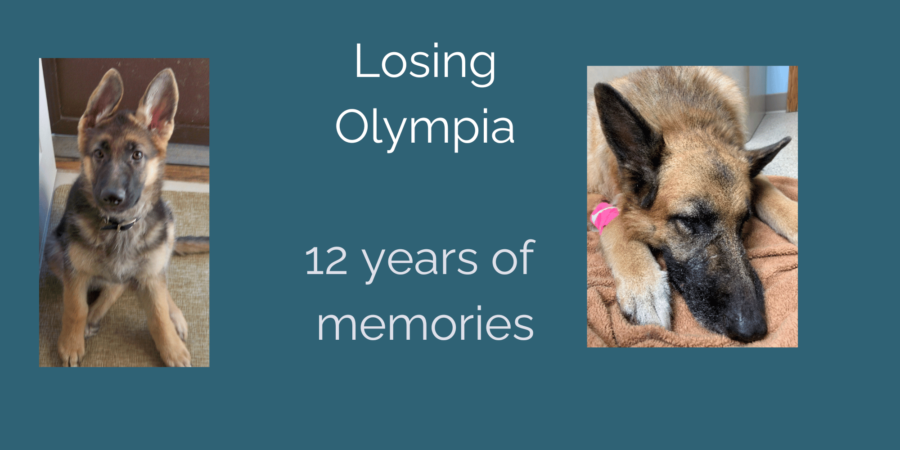 Losing Olympia – When a Dog’s Grief is More than Your Love