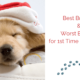Best and Worst Dog Breeds for the 1st Time Owner