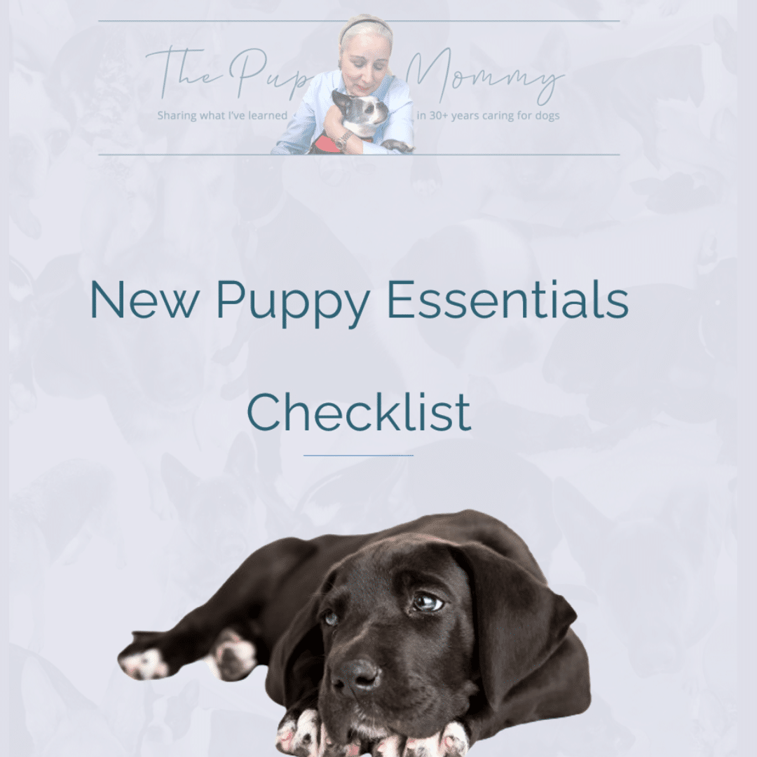 Essentials for a new puppy best sale