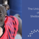 The Untold Story of Shelter Dogs