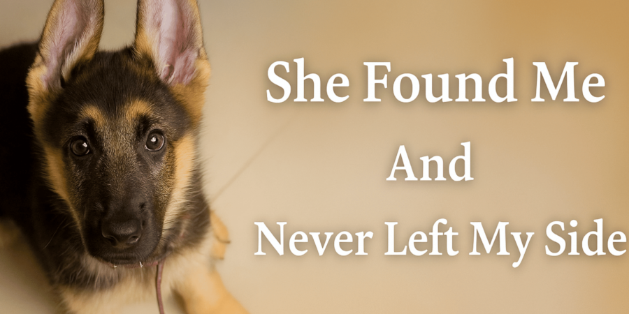 The Puppy I Almost Didn’t Bring Home  (A German Shepherd Love Story)