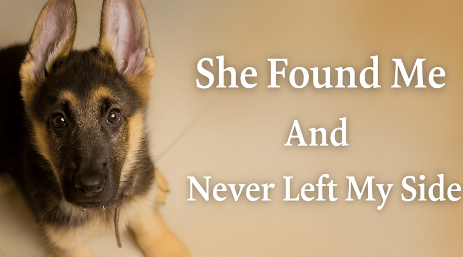 The Puppy I Almost Didn’t Bring Home  (A German Shepherd Love Story)