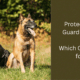 Is a Protection Dog Right For You?